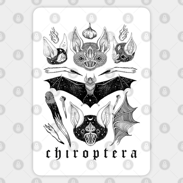 Chiroptera Magnet by lOll3